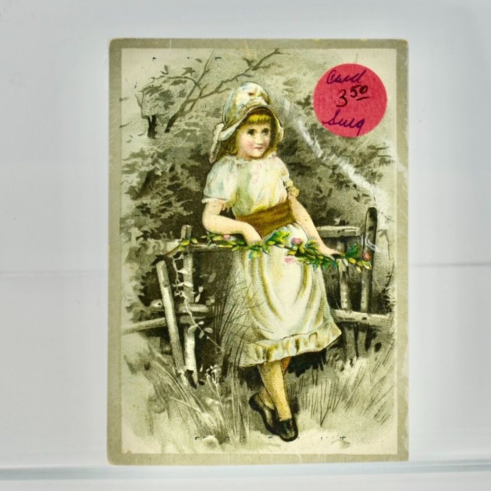 Antique Victorian Trading Card Girl Fence Flowers Blank Back